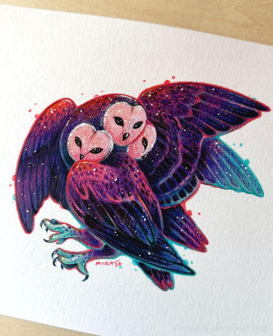 Barn Owl ✦ Original Illustration