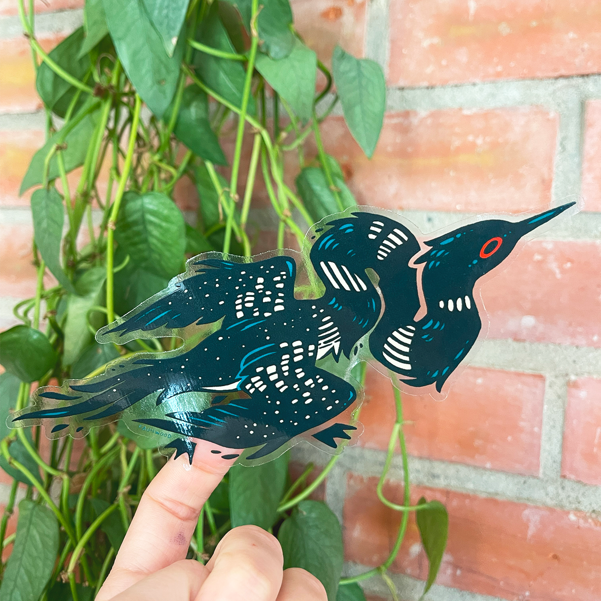 A transparent vinyl sticker of an illustrated Loon with an extra long and twisty neck. In this photo, a hand is holding the sticker with brick and a houseplant in the background, demonstrating the transparent outline.