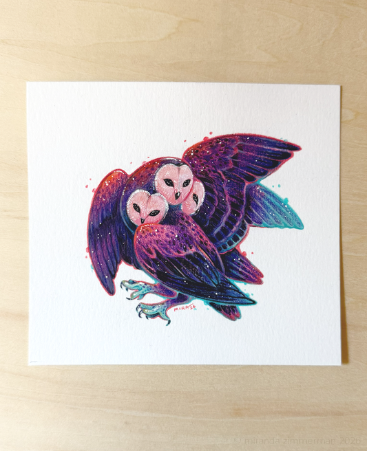 Barn Owl ✦ Original Illustration