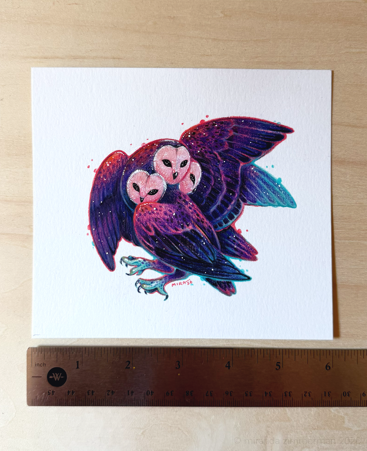Barn Owl ✦ Original Illustration