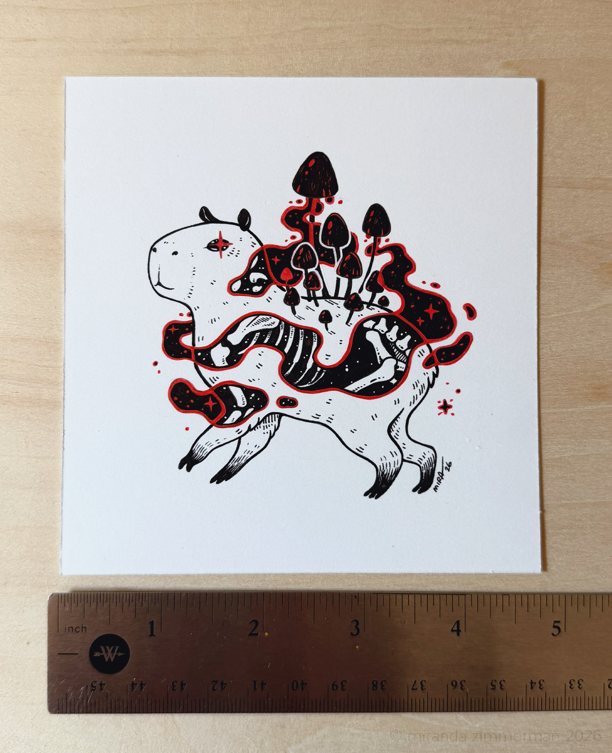 Mushybara ✦ Original Illustration