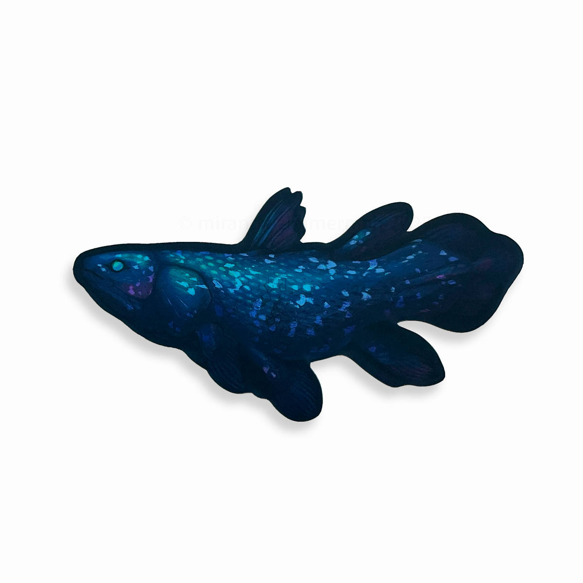Dark blue and black coelacanth sticker with matte holographic elements.
