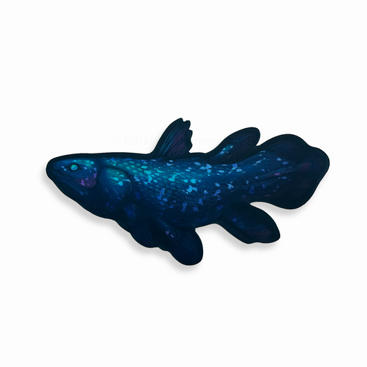 Dark blue and black coelacanth sticker with matte holographic elements.