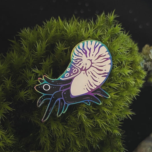 Nautiloid ✦ Rainbow Pin