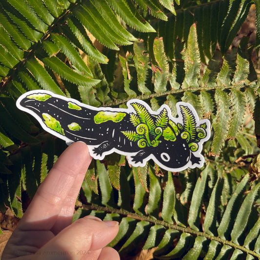 A matte vinyl sticker depicting a black illustrated axolotl with ferns for gills, covered in patches of moss.  In this photo, a hand is holding the sticker in front of a fern backdrop.