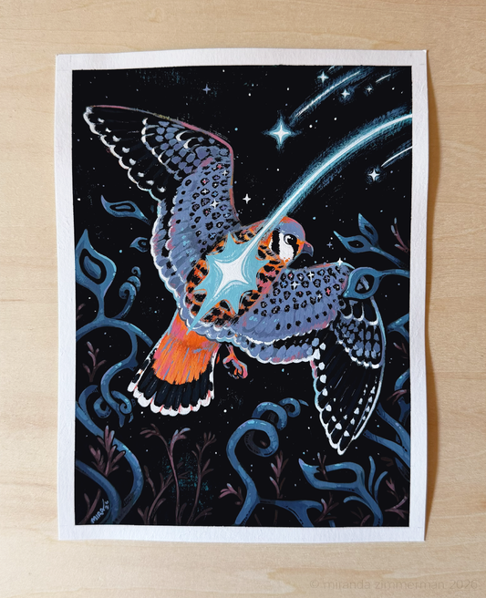Kestrel ✦ Original Illustration