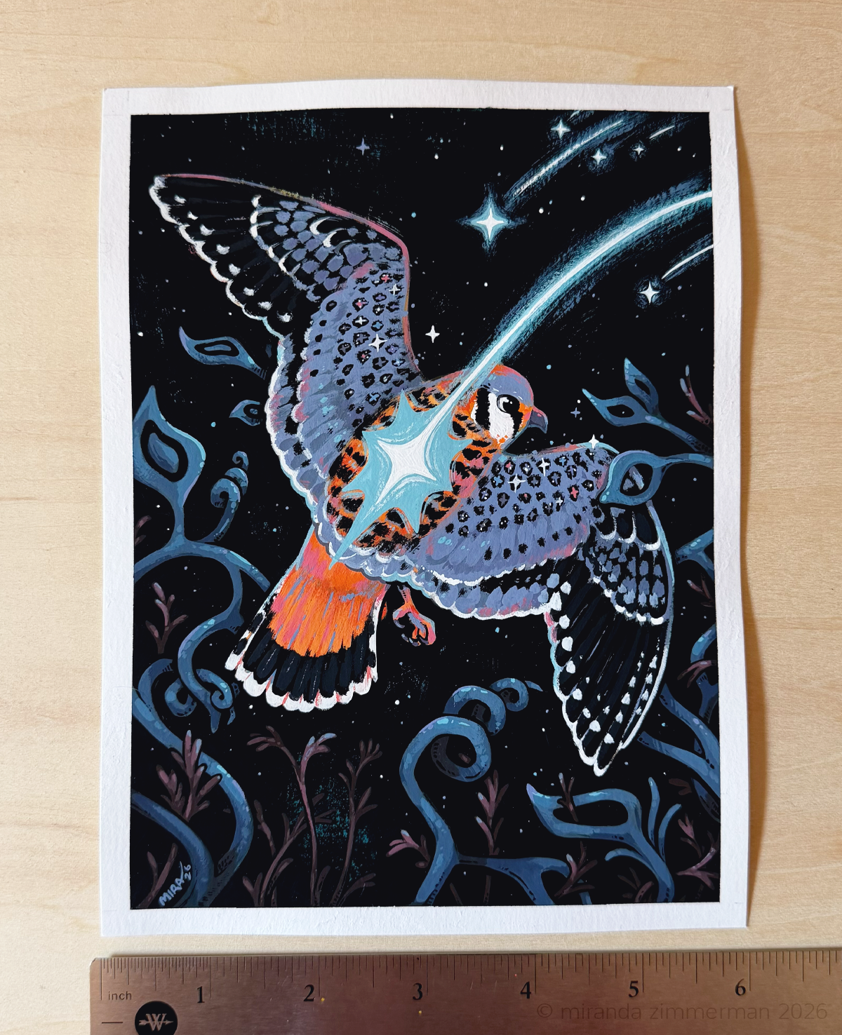 Kestrel ✦ Original Illustration