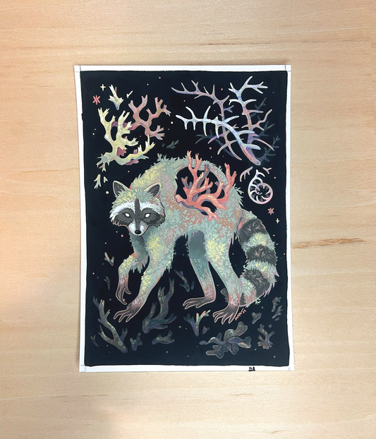 Lichen lotor ✦ Original Illustration
