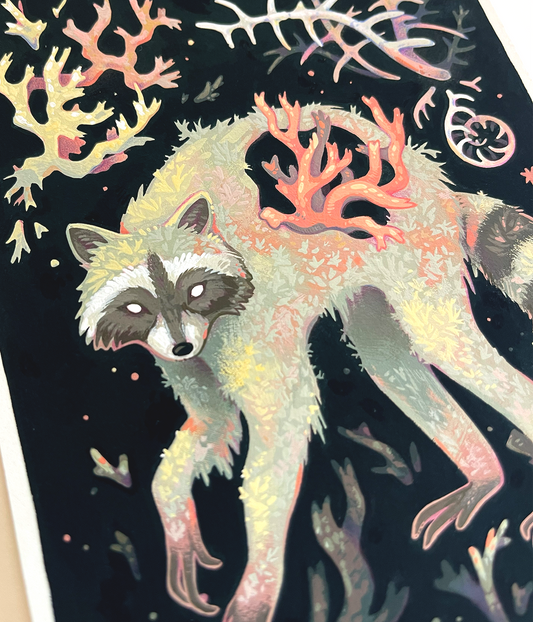 Lichen lotor ✦ Original Illustration