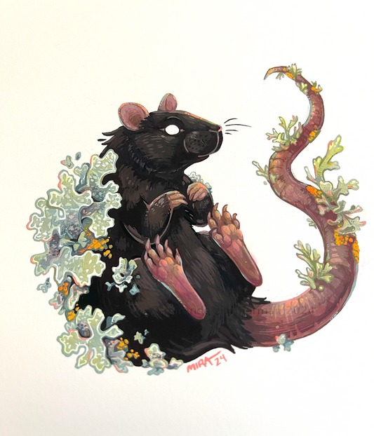 LichenRat ✦ Original Illustration