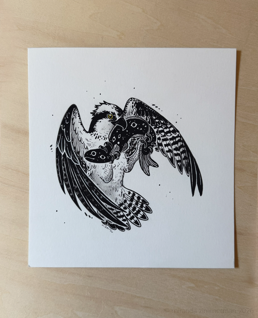 Osprey ✦ Original Illustration