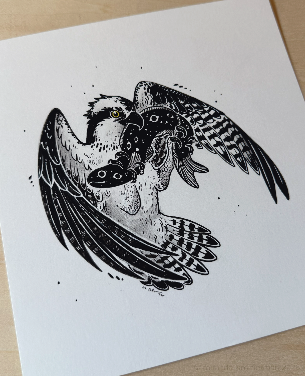 Osprey ✦ Original Illustration