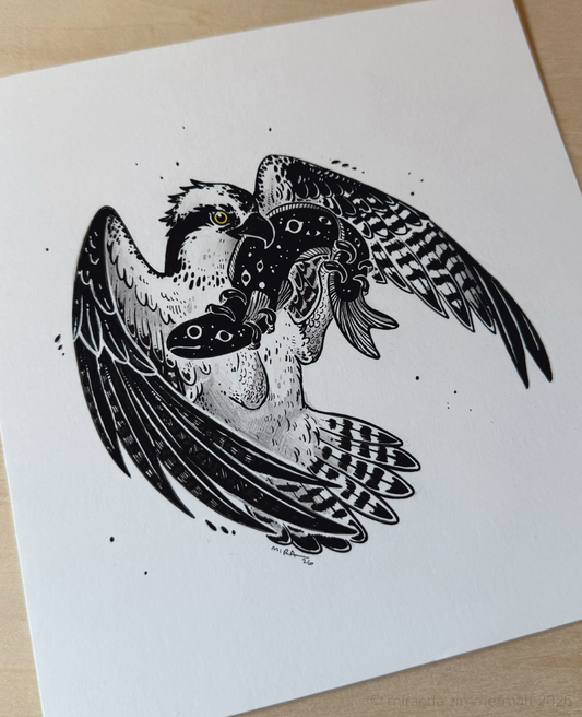 Osprey ✦ Original Illustration