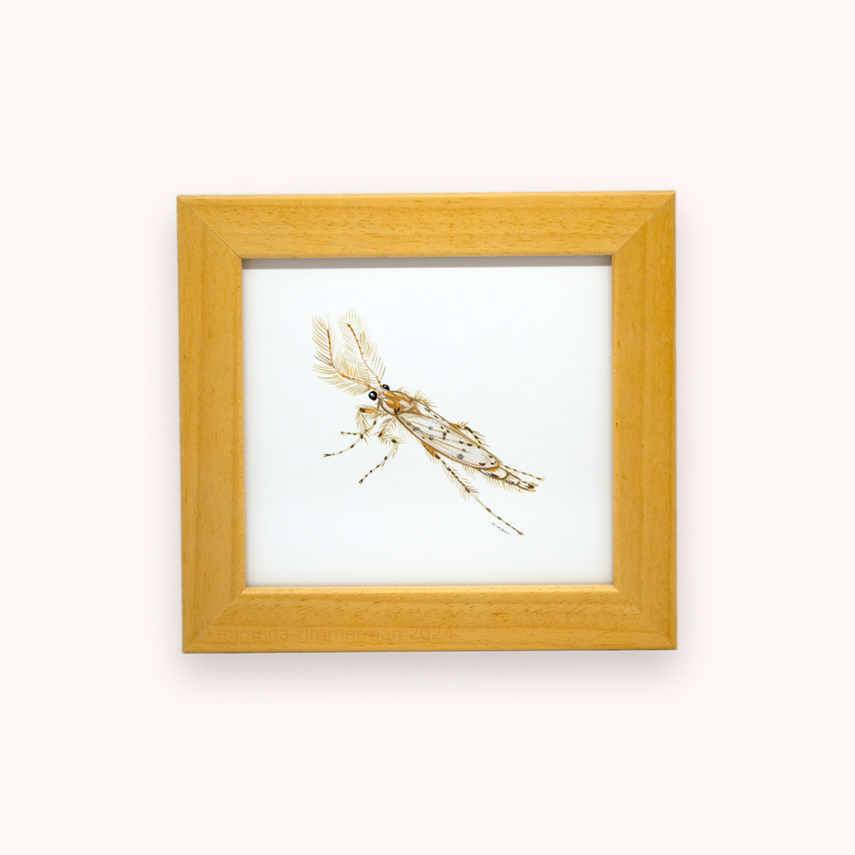 Phantom Midge ✦ Framed Illustration