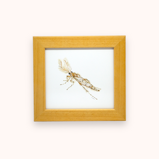 Phantom Midge ✦ Framed Illustration
