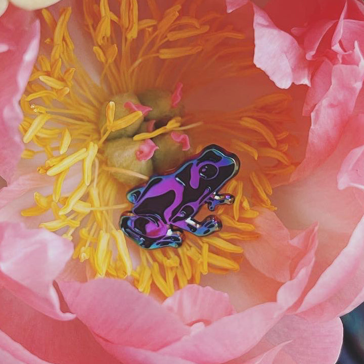 Poison Dart Frog ✦ Rainbow Pin