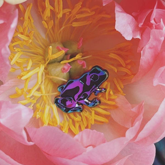 Poison Dart Frog ✦ Rainbow Pin