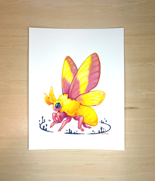 Rosy Maple Moth ✦ Original Illustration