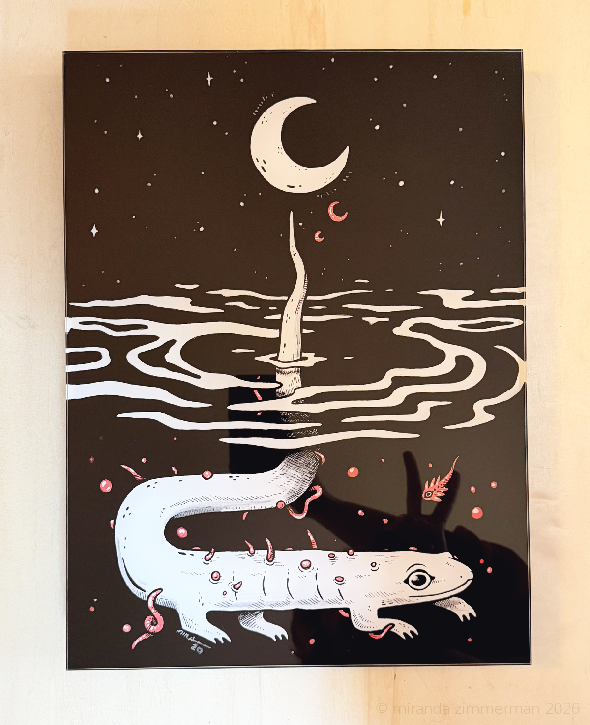 Salamoonder ✦ Acrylic Print