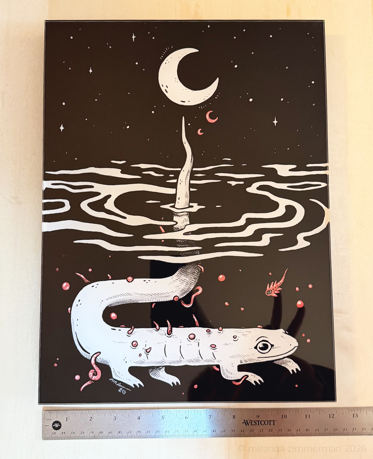 Salamoonder ✦ Acrylic Print