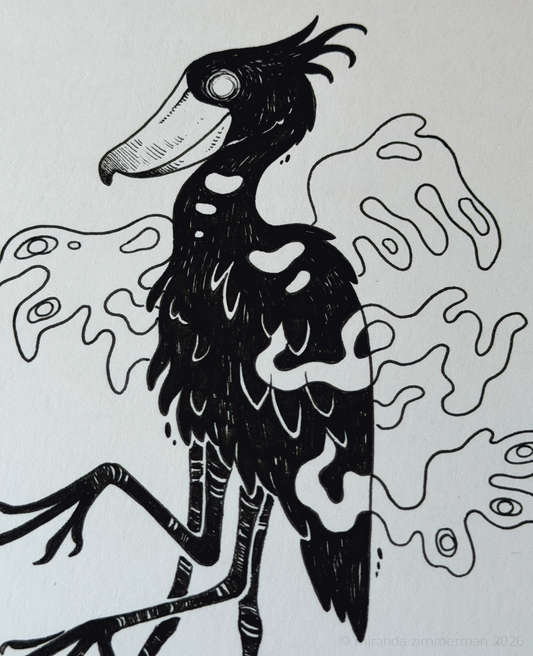Shoebill ✦ Original Illustration