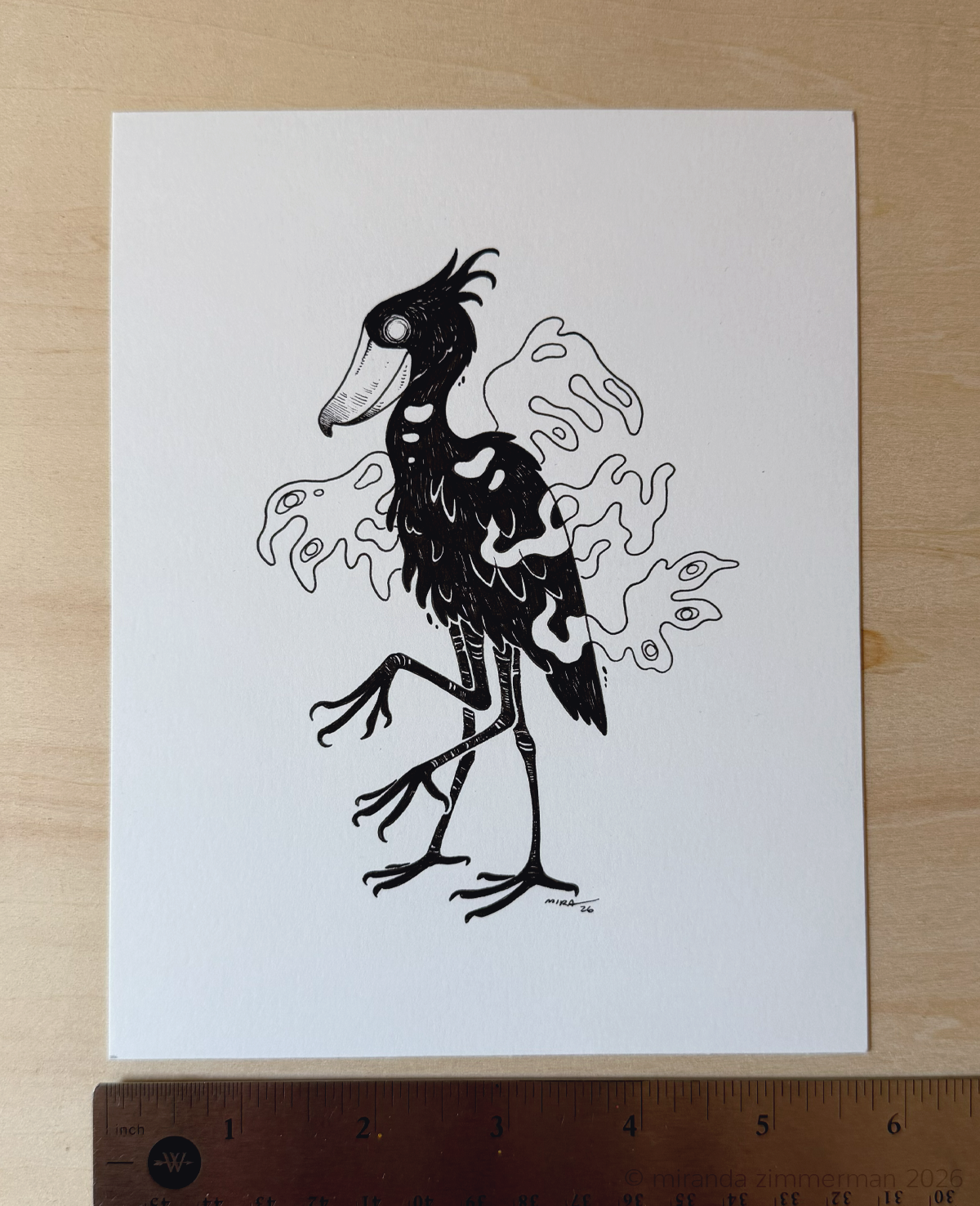 Shoebill ✦ Original Illustration