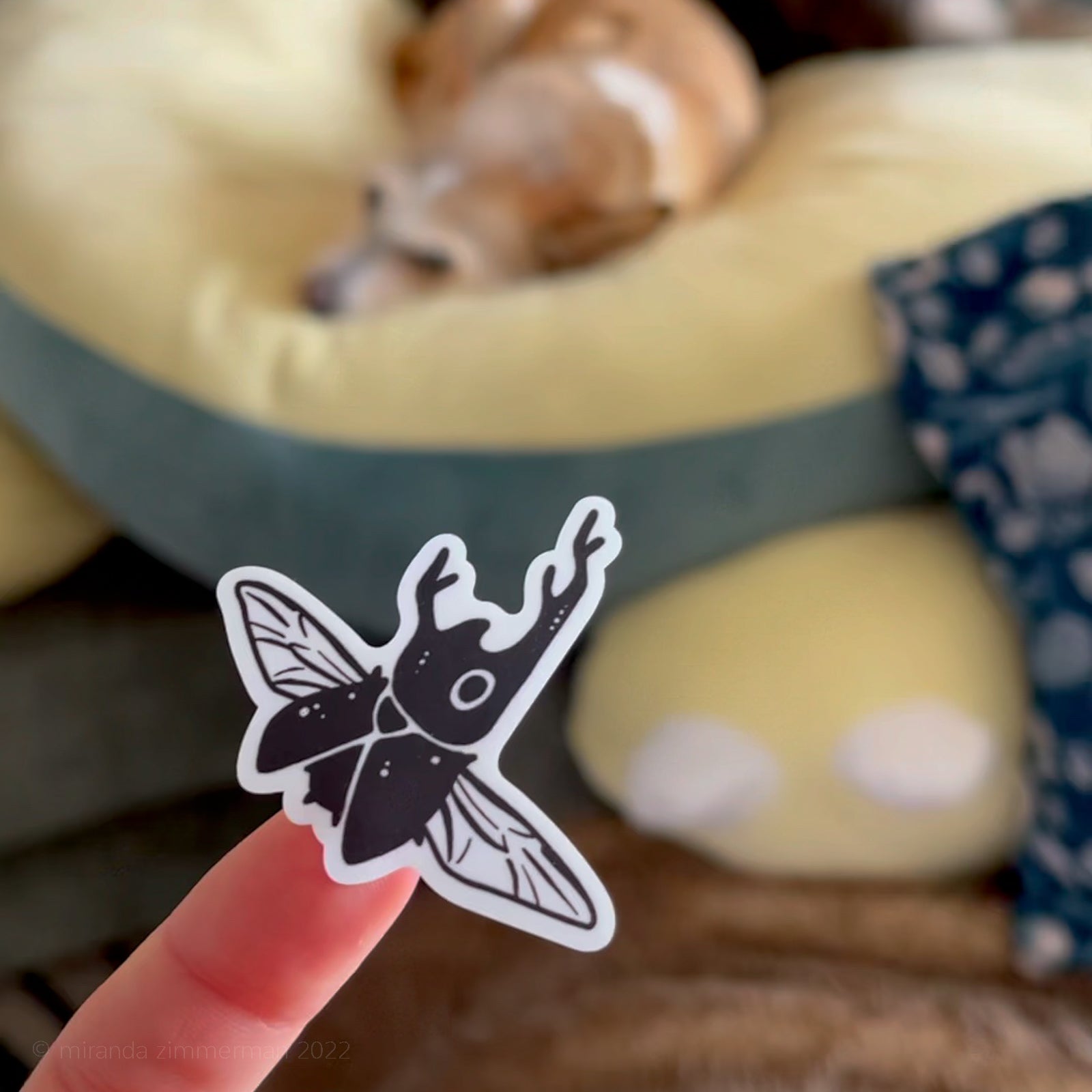 One of the small individual beetle stickers held up by a hand with a blurry background (featuring a dog)!