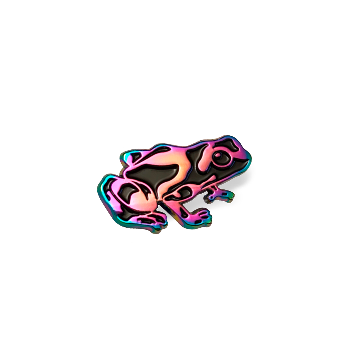 Poison Dart Frog ✦ Rainbow Pin
