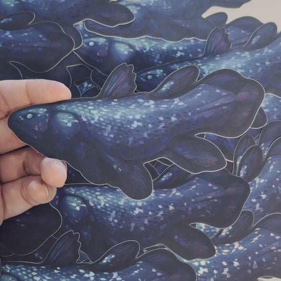 A video showing the matte holographic elements of the sticker