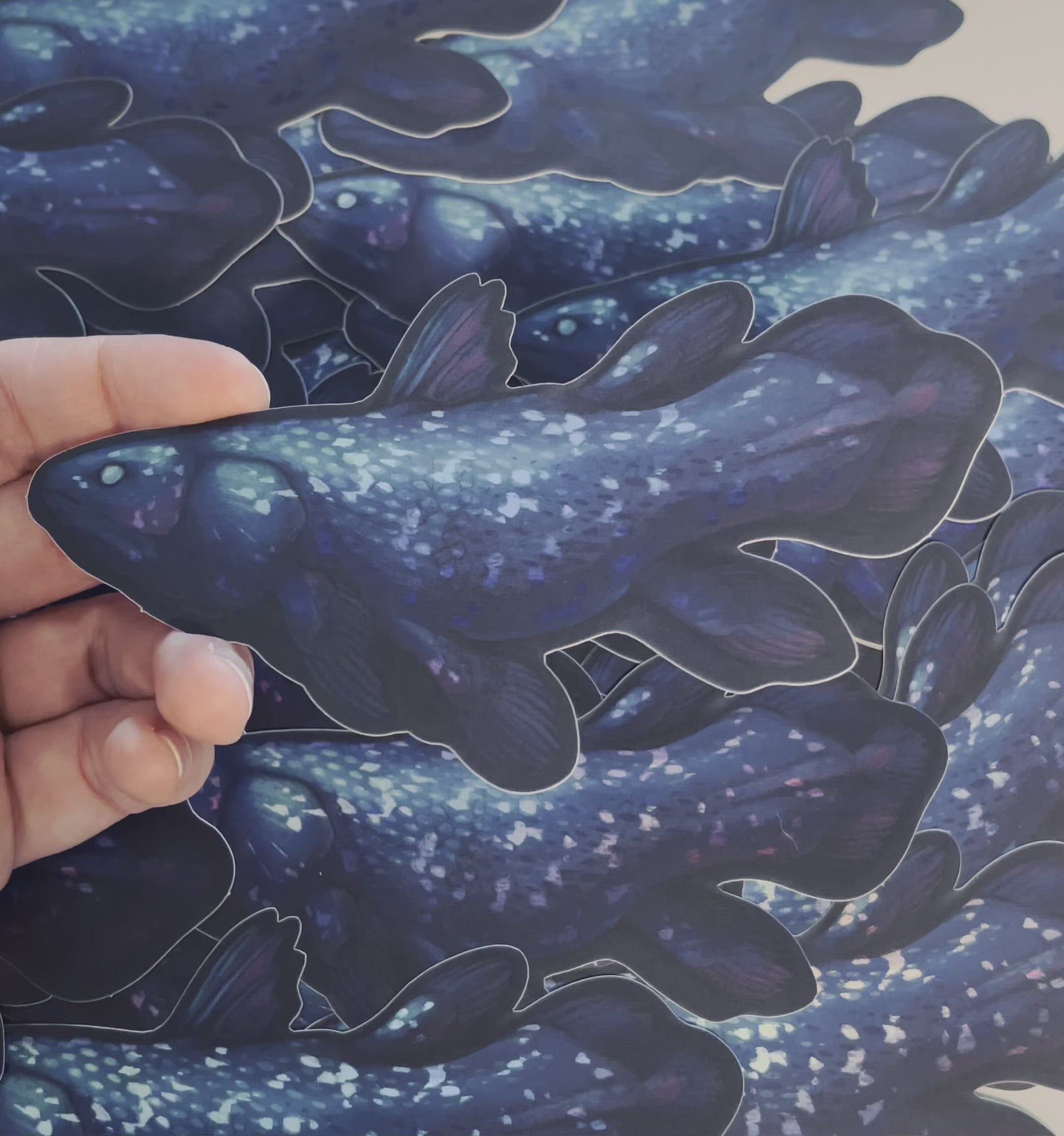 A video showing the matte holographic elements of the sticker